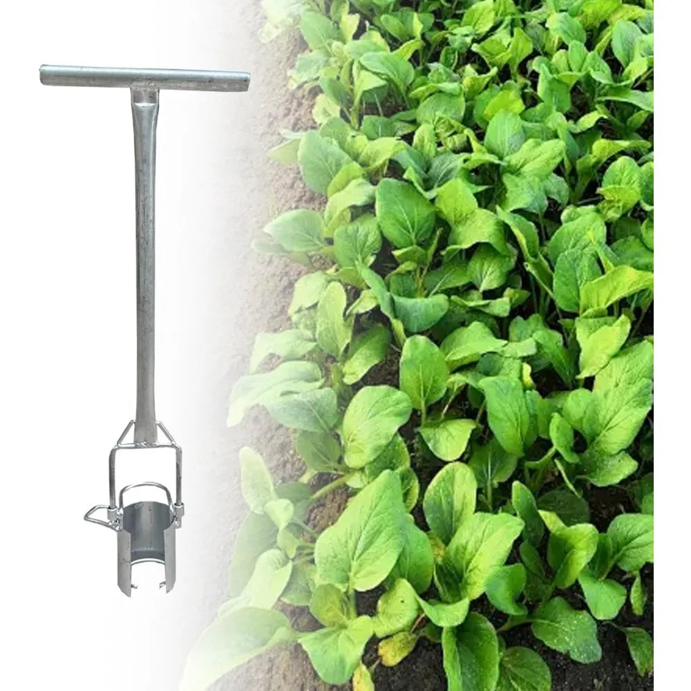 Long-Handled Bulb and Seedling Transplanter