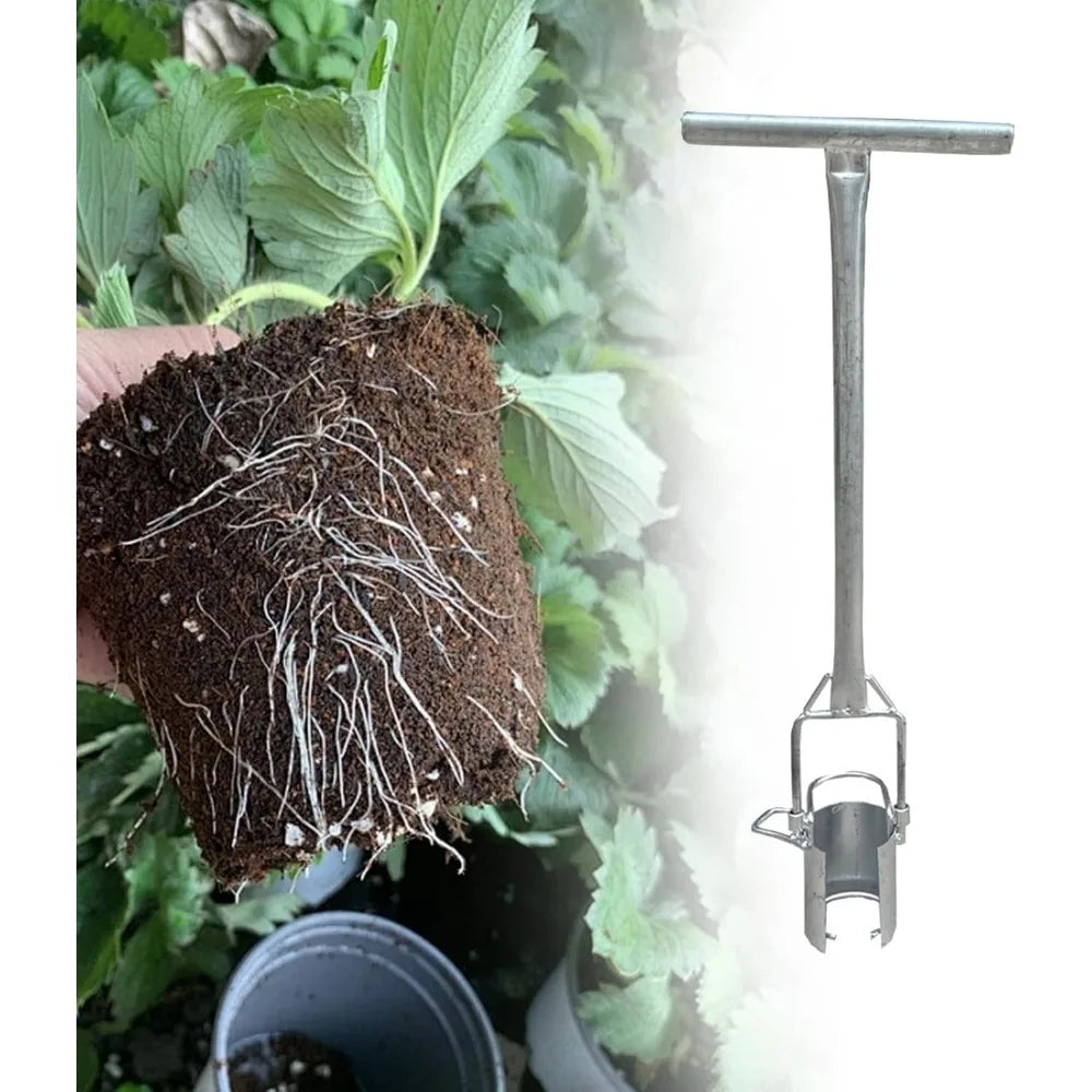 Long-Handled Bulb and Seedling Transplanter